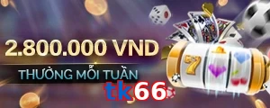 tk66