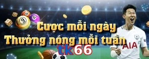 tk66